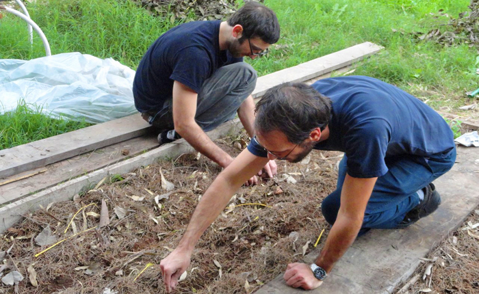 Volunteering at a Local Garden